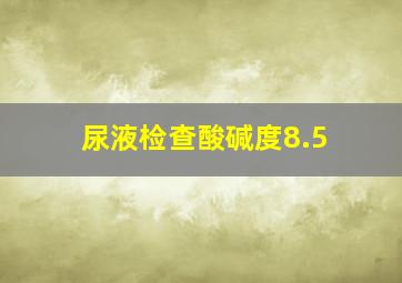 尿液检查酸碱度8.5