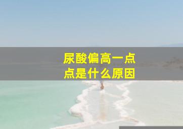 尿酸偏高一点点是什么原因