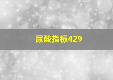 尿酸指标429