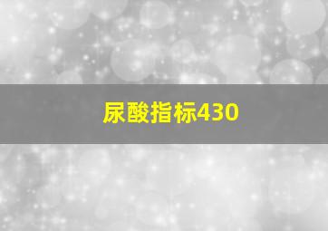 尿酸指标430