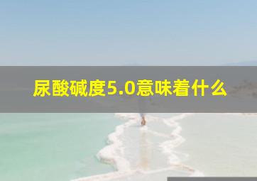 尿酸碱度5.0意味着什么