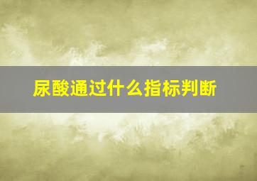 尿酸通过什么指标判断