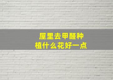 屋里去甲醛种植什么花好一点