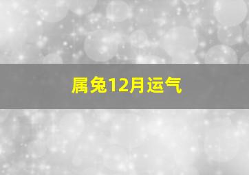 属兔12月运气