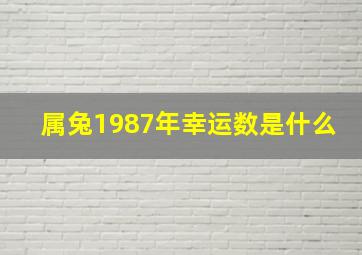 属兔1987年幸运数是什么