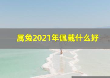 属兔2021年佩戴什么好