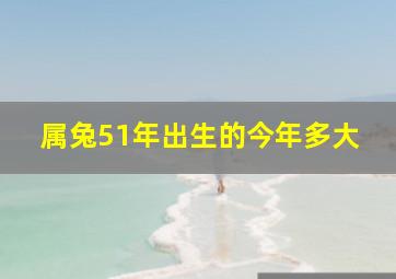 属兔51年出生的今年多大