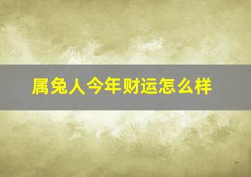 属兔人今年财运怎么样