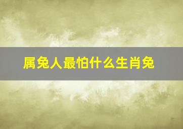 属兔人最怕什么生肖兔