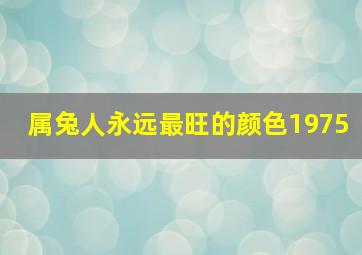 属兔人永远最旺的颜色1975