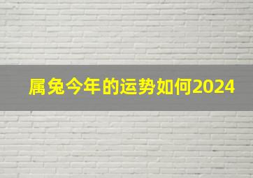 属兔今年的运势如何2024