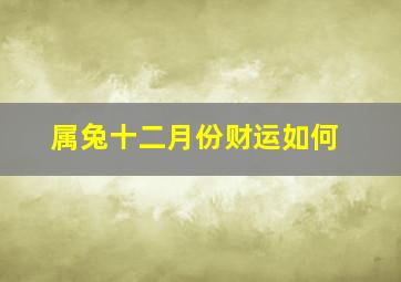 属兔十二月份财运如何