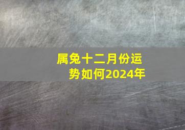 属兔十二月份运势如何2024年