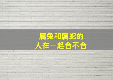 属兔和属蛇的人在一起合不合