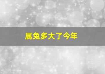 属兔多大了今年