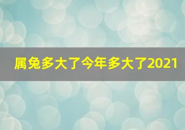 属兔多大了今年多大了2021