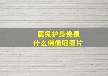 属兔护身佛是什么佛像呢图片