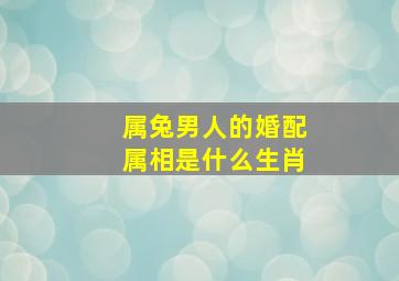 属兔男人的婚配属相是什么生肖