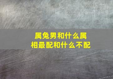 属兔男和什么属相最配和什么不配