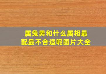 属兔男和什么属相最配最不合适呢图片大全