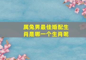 属兔男最佳婚配生肖是哪一个生肖呢