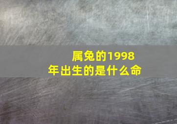 属兔的1998年出生的是什么命