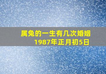 属兔的一生有几次婚姻1987年正月初5日