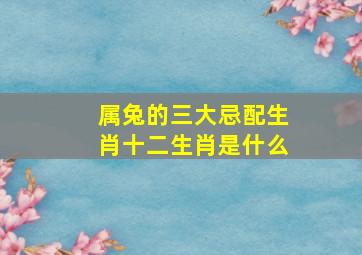 属兔的三大忌配生肖十二生肖是什么