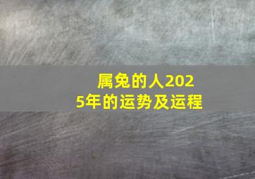 属兔的人2025年的运势及运程