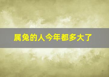 属兔的人今年都多大了