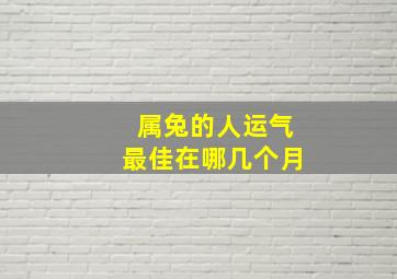 属兔的人运气最佳在哪几个月