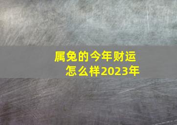 属兔的今年财运怎么样2023年