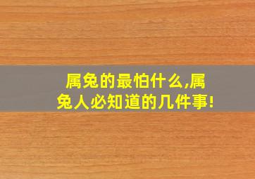 属兔的最怕什么,属兔人必知道的几件事!