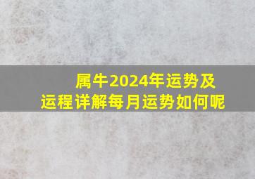 属牛2024年运势及运程详解每月运势如何呢