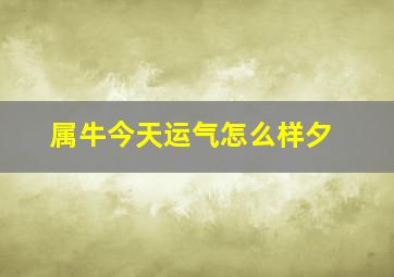 属牛今天运气怎么样夕