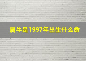 属牛是1997年出生什么命