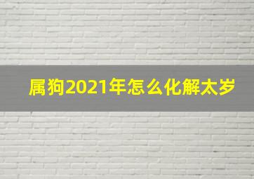 属狗2021年怎么化解太岁