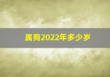 属狗2022年多少岁