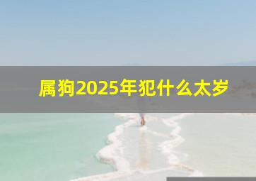 属狗2025年犯什么太岁