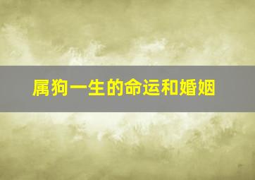 属狗一生的命运和婚姻