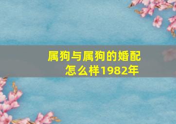 属狗与属狗的婚配怎么样1982年