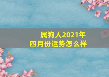 属狗人2021年四月份运势怎么样