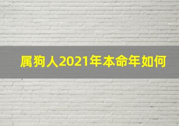 属狗人2021年本命年如何