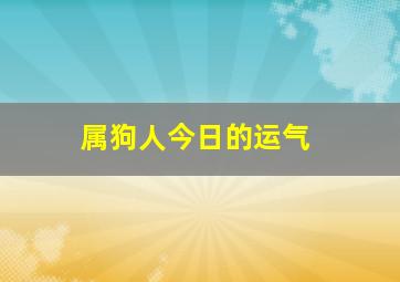 属狗人今日的运气