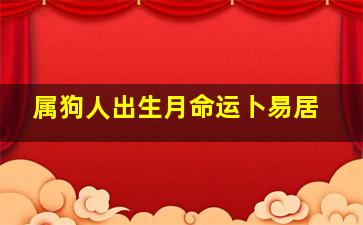 属狗人出生月命运卜易居