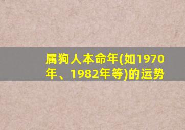 属狗人本命年(如1970年、1982年等)的运势