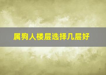 属狗人楼层选择几层好