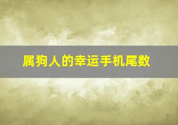 属狗人的幸运手机尾数