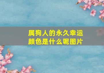 属狗人的永久幸运颜色是什么呢图片