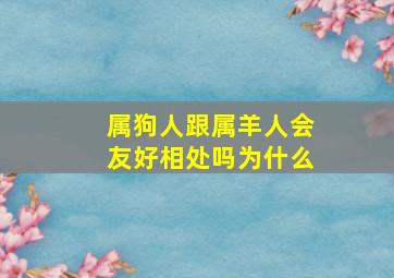 属狗人跟属羊人会友好相处吗为什么